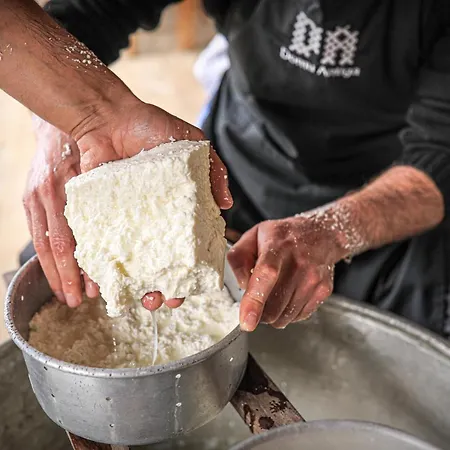 Domu Antiga Bed and breakfast