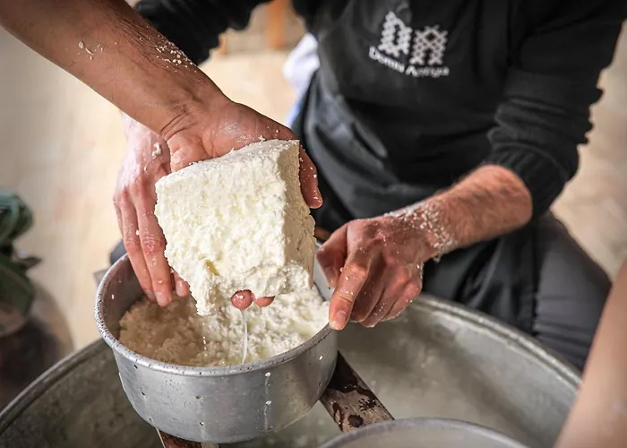 Domu Antiga 住宿加早餐酒店